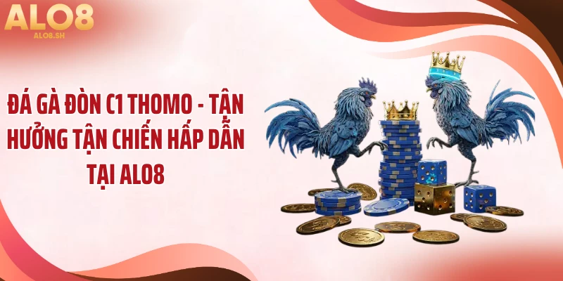 Đá Gà Đòn C1 Thomo - Tận Hưởng Tận Chiến Hấp Dẫn Tại ALO8