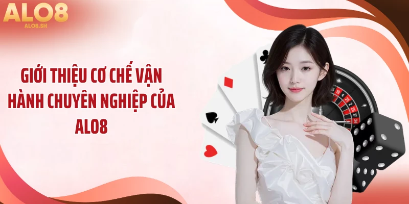 Giới thiệu cơ chế vận hành chuyên nghiệp của ALO8