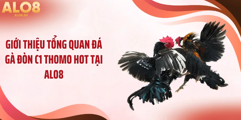 Giới thiệu tổng quan đá gà đòn C1 Thomo hot tại ALO8