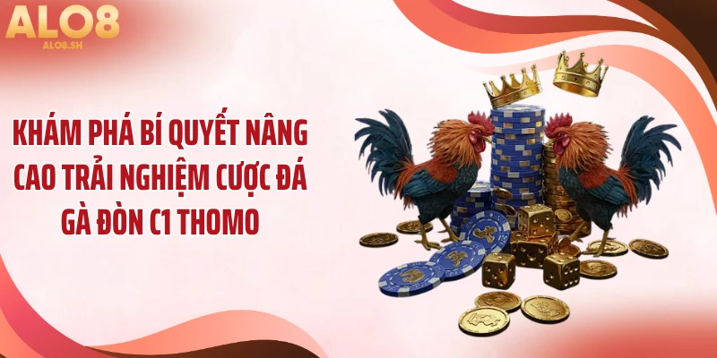 Khám phá bí quyết nâng cao trải nghiệm cược đá gà đòn C1 Thomo