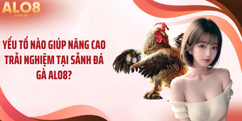 Yếu tố nào giúp nâng cao trải nghiệm tại sảnh đá gà ALO8?